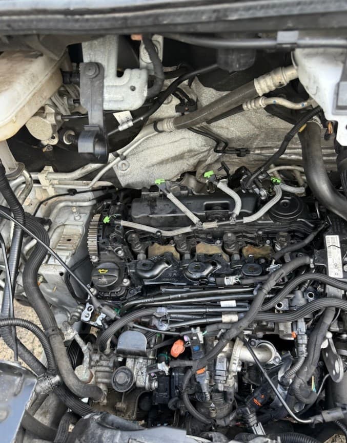 Mechanic working on a car